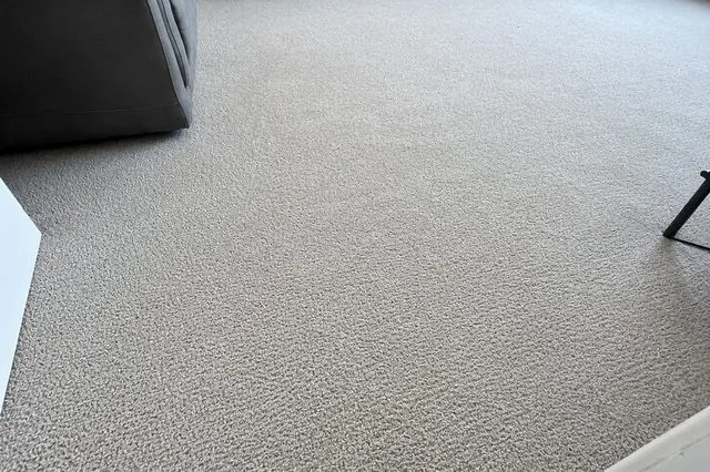 A freshly cleaned living room carpet